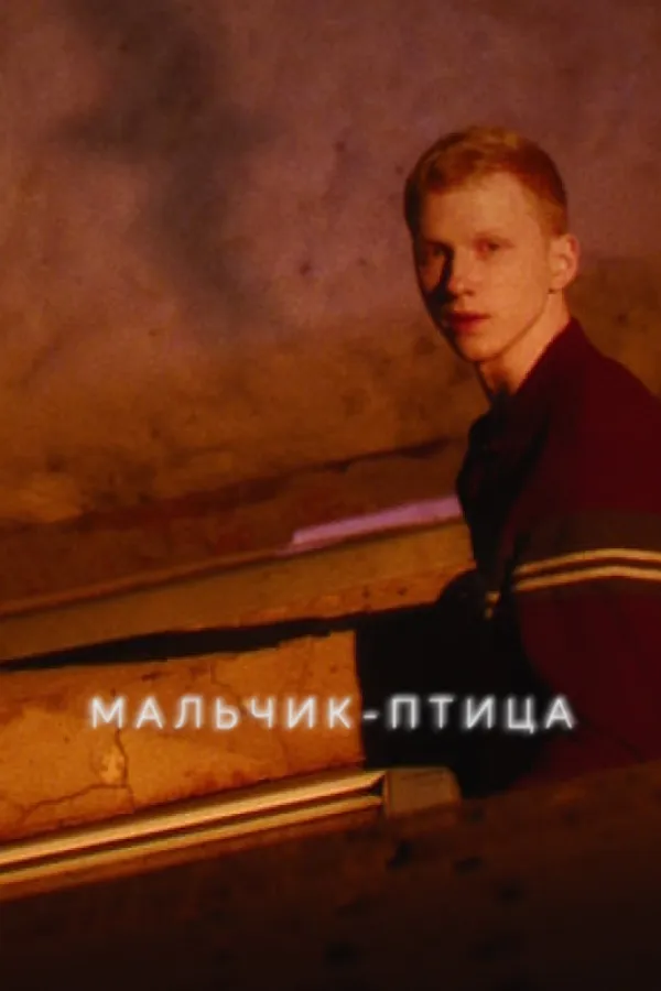 Мальчик-птица