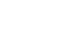 The Fence