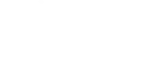 Fantasy Life