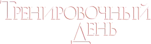 Тренировочный день