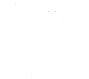 The Little Sister