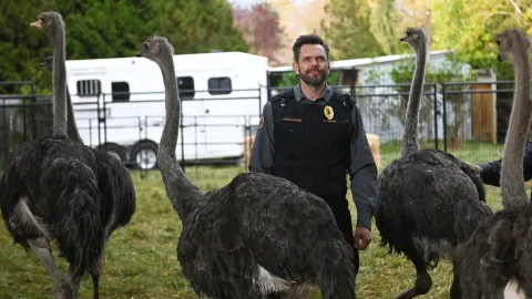 Animal Control, Staffel 1, Folge 1 — Szenenbild der Folge