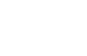 Shadow Punisher