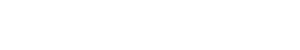 Двойник