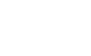 Rebel Without a Cause