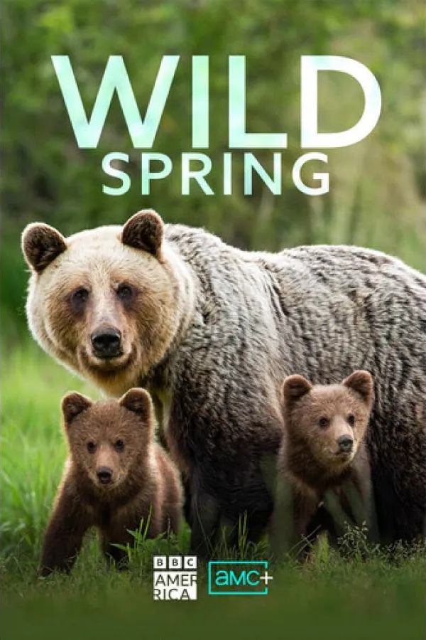 Wild Spring