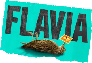 Flavia