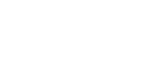 The King's Warden