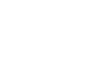 Slow Horses