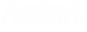 The Punisher: One Last Kill