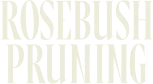 Rosebush Pruning