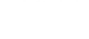 La hipótesis del amor