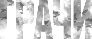 Грачи