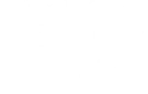 Deadly Ties