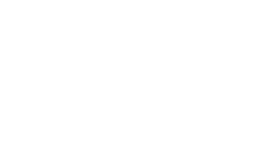 The Rise of the Red Hot Chili Peppers: Our Brother, Hillel