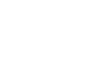Всё, что мы потеряли