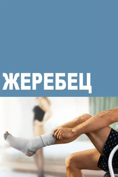 Похожее на «Во все тяжкие»: Жеребец