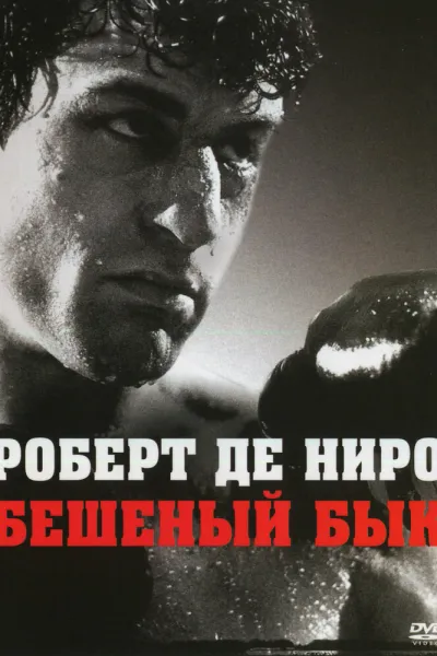 Похожее на «Таксист»: Бешеный бык