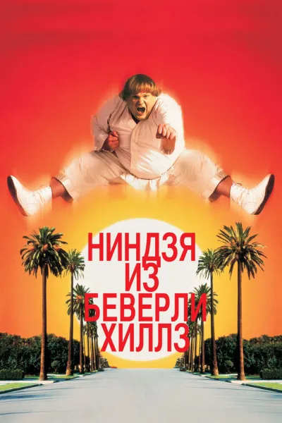 Похожее на «Кунг-фу Панда»: Ниндзя из Беверли-Хиллз