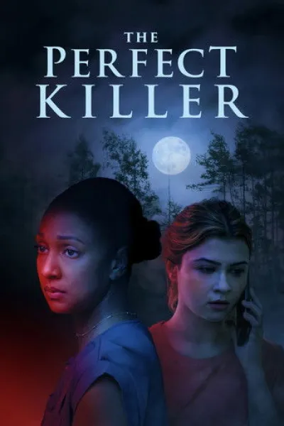 Empfehlung zu «Playing with Fire»: The Perfect Killer