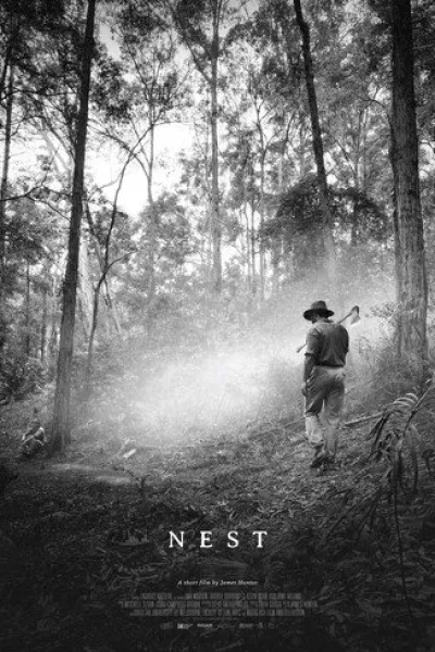 Empfehlung zu «Cruel Hands»: Nest