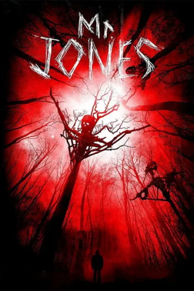 Empfehlung zu «The Final Frame»: Mr. Jones