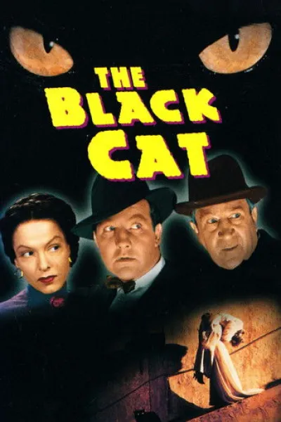 Empfehlung zu «Classe moyenne»: The Black Cat
