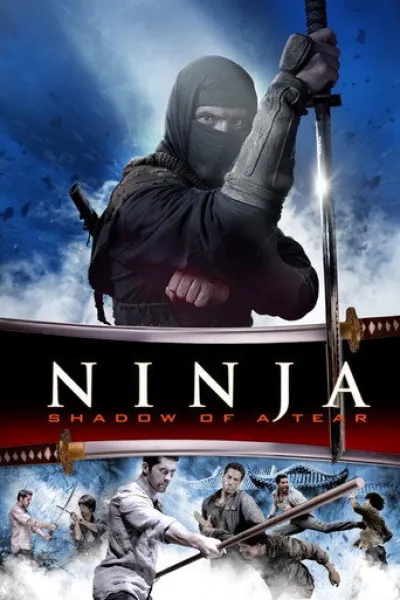 Similar to «Dhurandhar: The Revenge»: Ninja: Shadow of a Tear