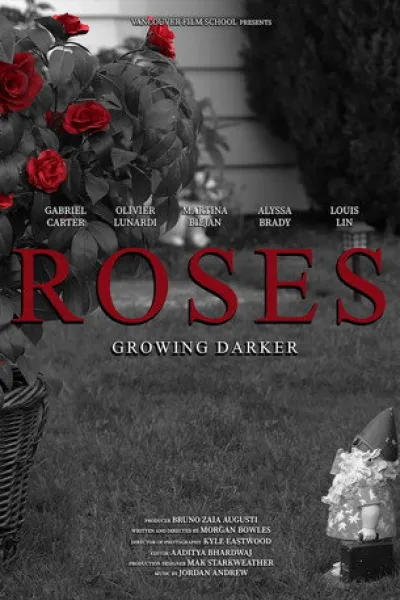 Empfehlung zu «Our Hero, Balthazar»: Roses