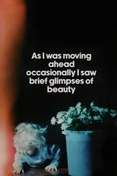 Ähnlich wie «In Search of Darkness: 1995-1999»: As I Was Moving Ahead Occasionally I Saw Brief Glimpses of Beauty