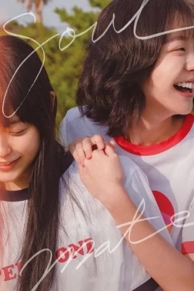 Ähnlich wie «Once We Were Us»: SoulMate