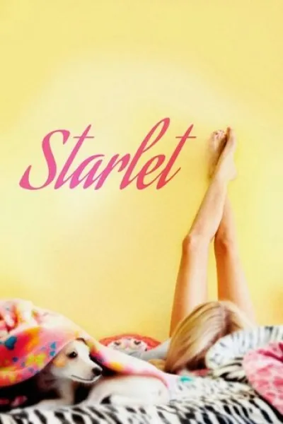 Ähnlich wie «Scenes of Friendly Ties»: Starlet