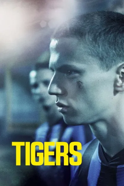Empfehlung zu «Siempre es invierno»: Tiger