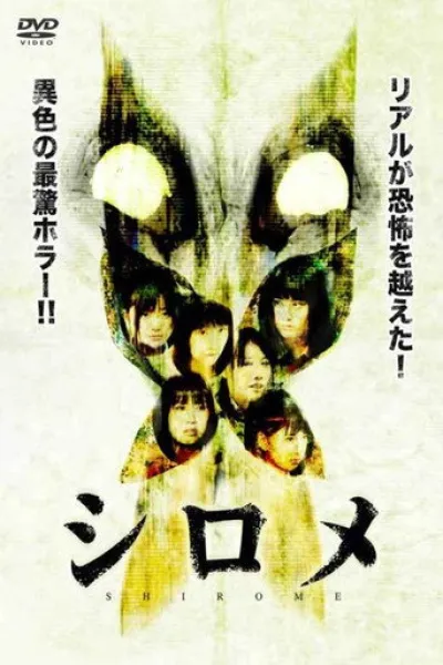 Empfehlung zu «La Virgen de la Tosquera»: Shirome