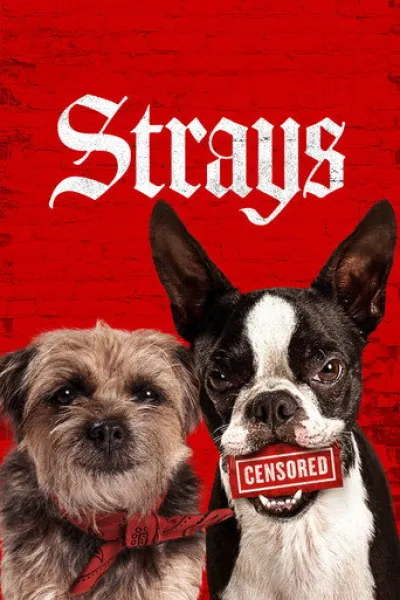 Recommended with «Ted»: Strays