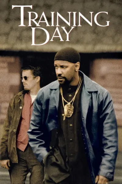 Recommended with «Shelter»: Training Day