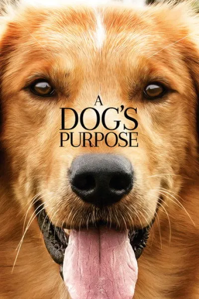 Ähnlich wie «The Boy and the Dog»: Bailey - Ein Freund fürs Leben