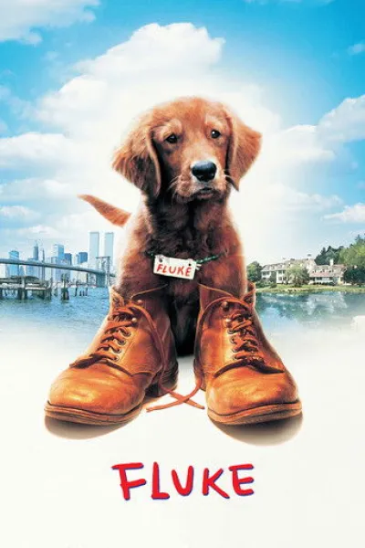Ähnlich wie «The Boy and the Dog»: Fluke