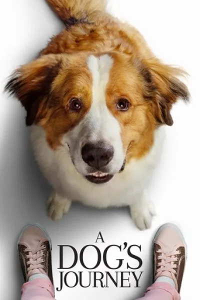 Ähnlich wie «The Boy and the Dog»: Bailey - Ein Hund kehrt zurück
