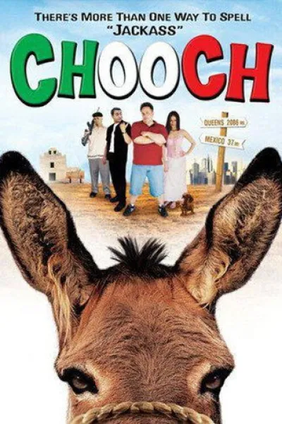 Empfehlung zu «Fatti vedere»: Chooch