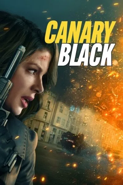Similar to «The Dresden Sun»: Canary Black
