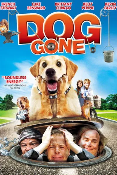 Similar to «Dhamaal 4»: Dog Gone