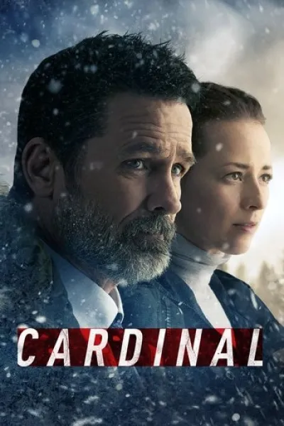 Similar to «Law & Order Toronto: Criminal Intent»: Cardinal