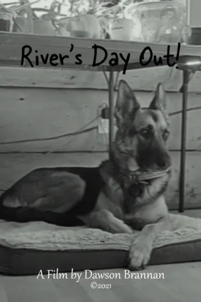 Recommended with «Unexpected Family»: River's Day Out!
