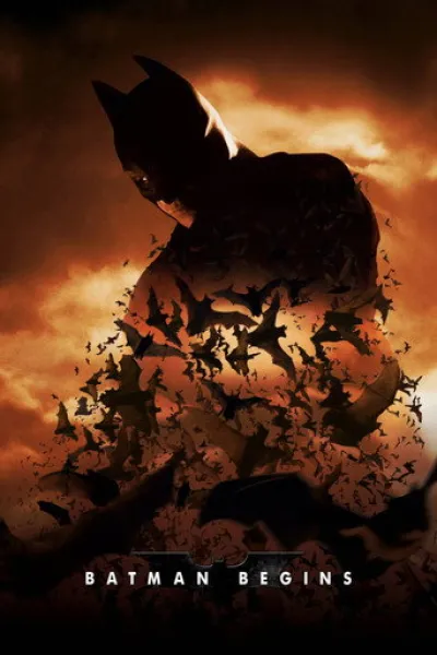 Recommended with «Street Fighter»: Batman Begins