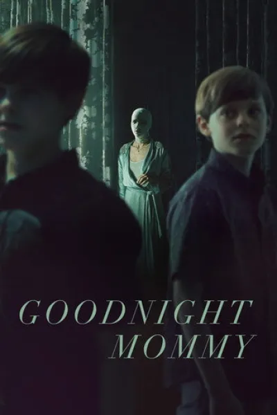 Similar to «The Room Below»: Goodnight Mommy