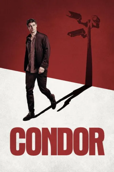 Similar to «Lioness»: Condor