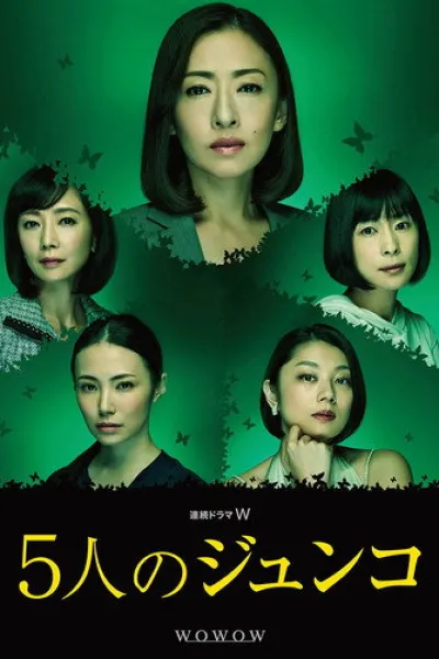 Recommended with «The Lincoln Lawyer»: Go-nin no Junko