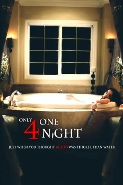 Recommended with «Gone Girl»: Only for One Night