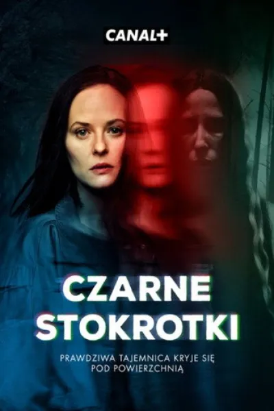 Recommended with «A Remarkable Place to Die»: Strange Angels